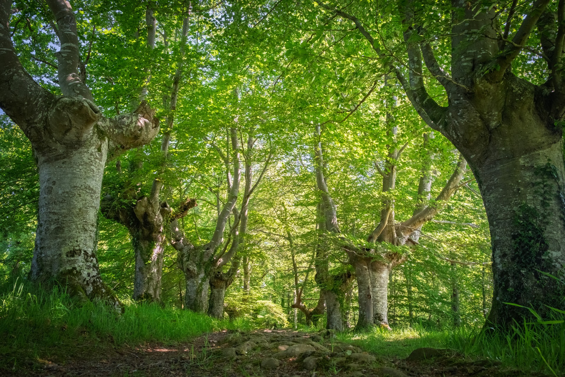 turismo otxandio bizkaia 8